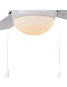 Tulipa Ventilador Pontia