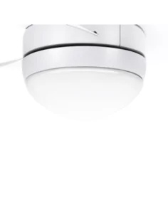 Tulipa Ventilador Fuga