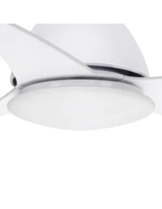 Tulipa Ventilador Gregal