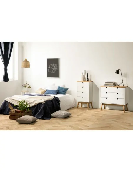 Sinfonier 4 Cajones Modelo Lagos