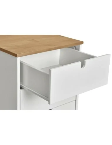 Sinfonier 4 Cajones Modelo Lagos