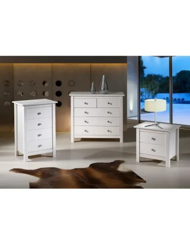 Sinfonier 4 Cajones Modelo Berne