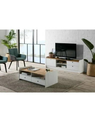 Mueble de TV Modelo Mole