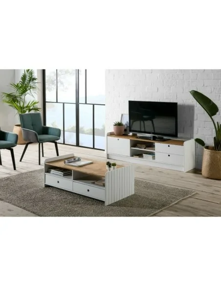 Mueble de TV Modelo Mole