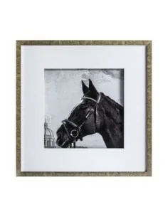 Lámina J/2 Caballo 2