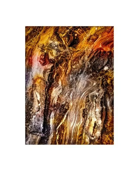 Lámina Armagh Lámina Armagh