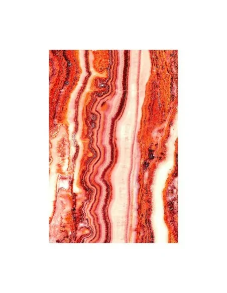 Lámina Astanxatina Lámina Astanxatina