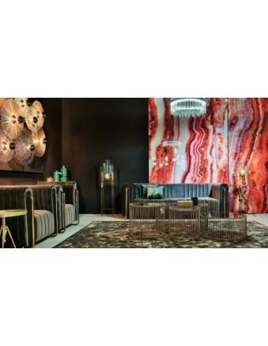 Lámina Astanxatina Lámina Astanxatina