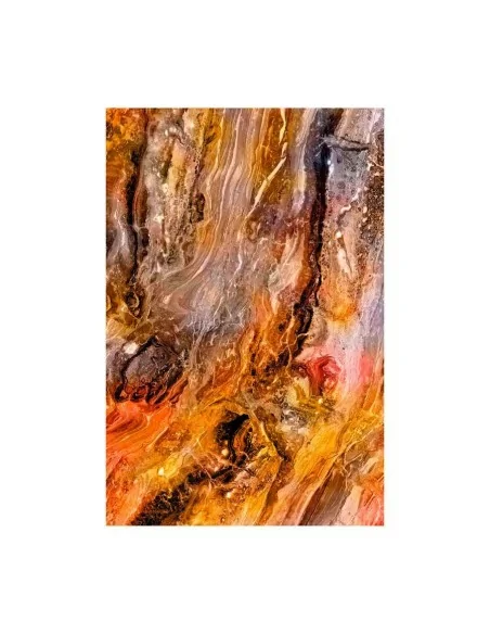 Lámina Armagh Lámina Armagh