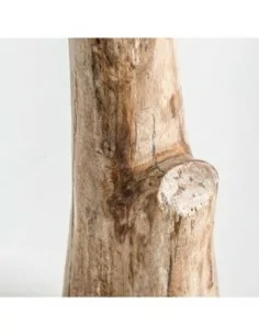 Figura Tronco 2