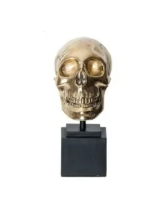 Busto Calavera