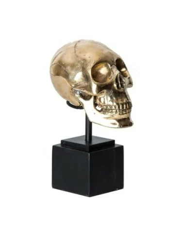 Busto Calavera Busto Calavera