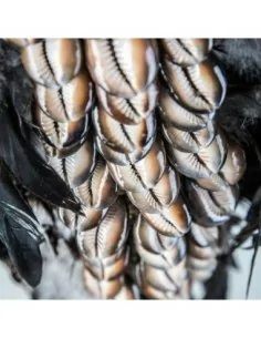 Figura Collar Inga Plumas 2