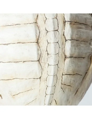 Figura Tortuga Figura Tortuga