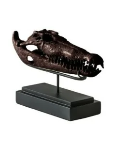 Busto Cocodrilo