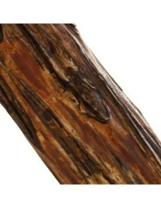 Escultura Pie Tronco Helecho 2