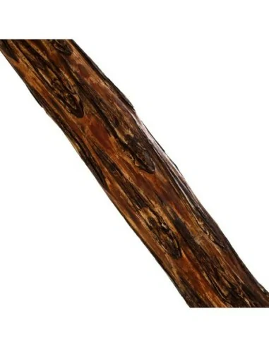 Escultura Pie Tronco Helecho