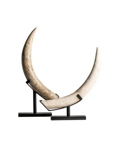 Figura Cuerno Figura Cuerno