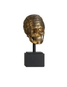 Busto Calavera