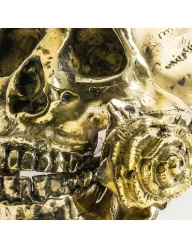 Busto Calavera Corona