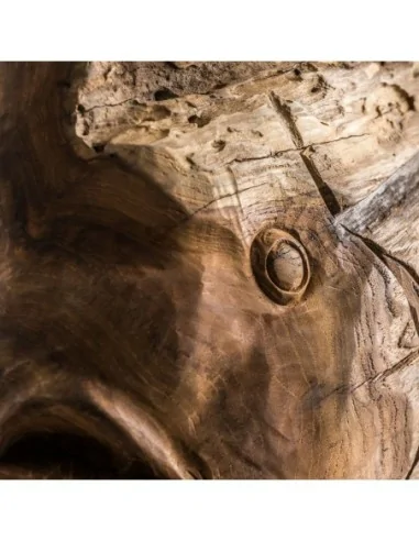 Figura Pez Figura Pez