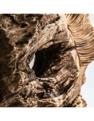 Figura Pez Figura Pez