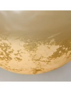 Botellón Orgánico 2