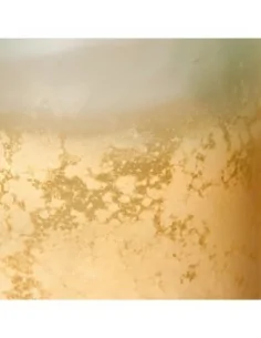 Botellón Orgánico 2