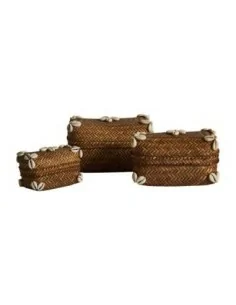 Caja J/3 Caracolas