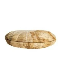 Caja Tsumeb 2