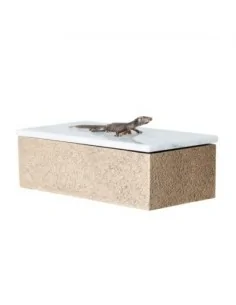 Caja Lagarto 2