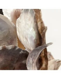 Lámpara De Sobremesa 2