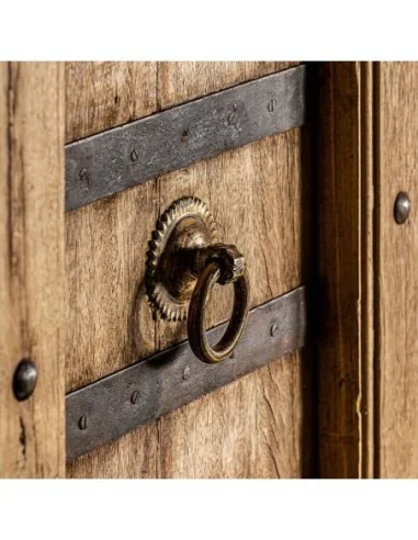 Puerta Erix Puerta Erix