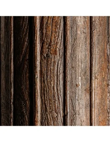 Columna Columna