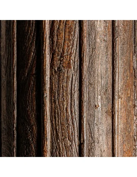 Columna