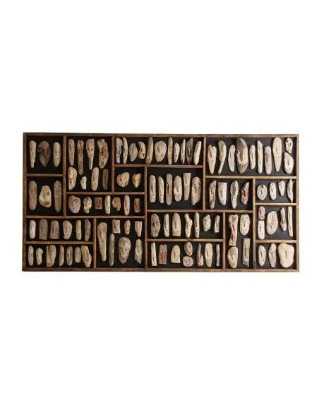 Panel Decorativo Fósiles