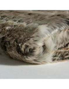 Manta Wolf 2