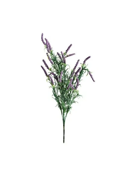 Flor Lavanda