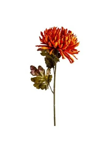 Flor Crisantema