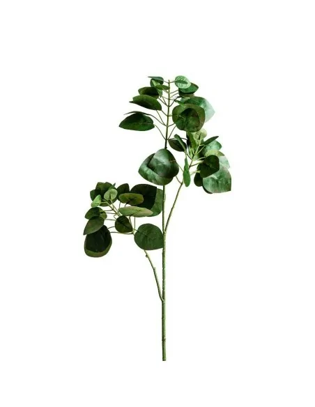 Planta Hojas Manzano