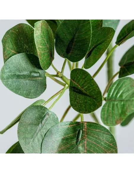 Planta Hojas Manzano