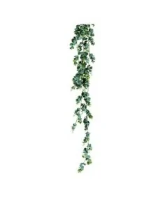 Planta