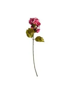 Flor Hortensia 2