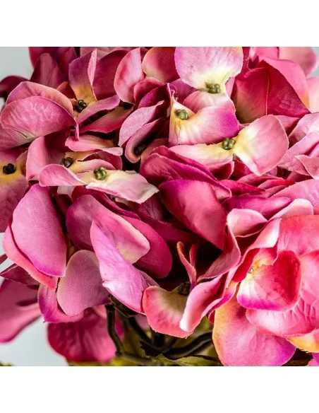 Flor Hortensia