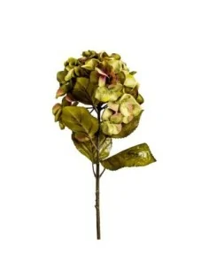 Flor Hortensia