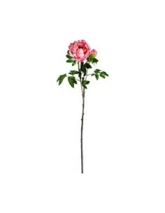 Flor Peonia 2