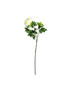 Flor 2