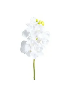 Flor Azahar