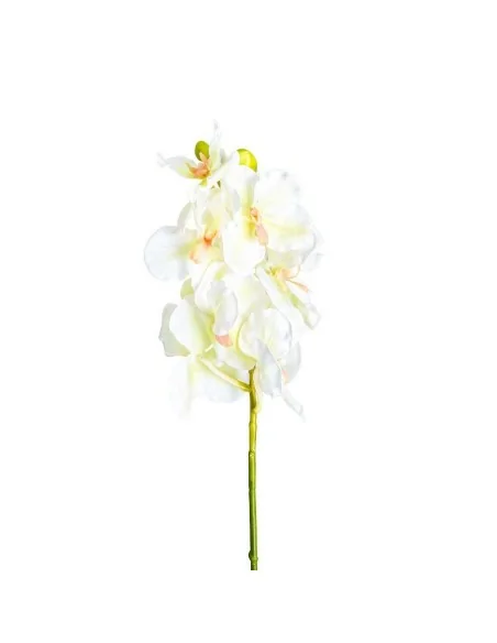 Flor Azahar Flor Azahar