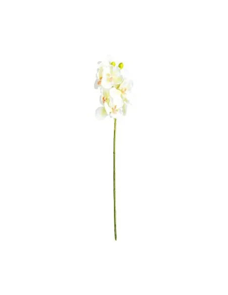 Flor Azahar